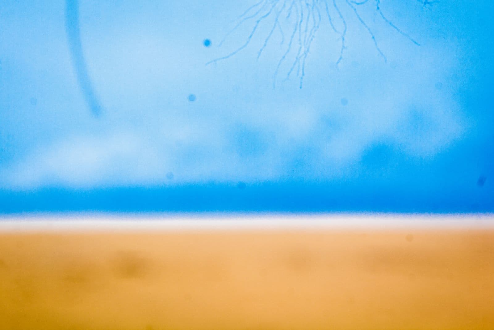 Hidden Gems: 3 Secret Beach Bars in Fidjrossè (No Tourist Traps)